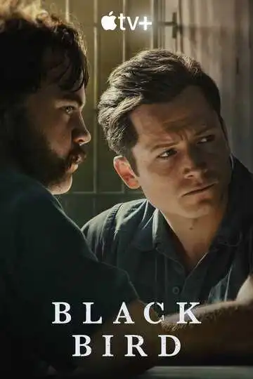 Постер сериала Чёрная птица